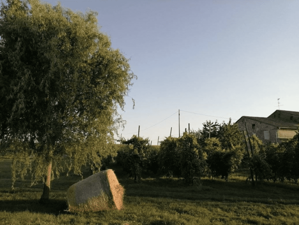 Picture of an agriturismo in a small town in Emilia-Romagna