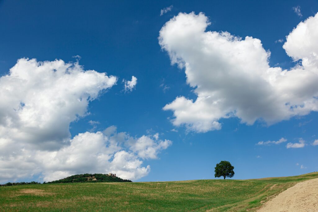 This image shows the countryside of Emilia-Romagna